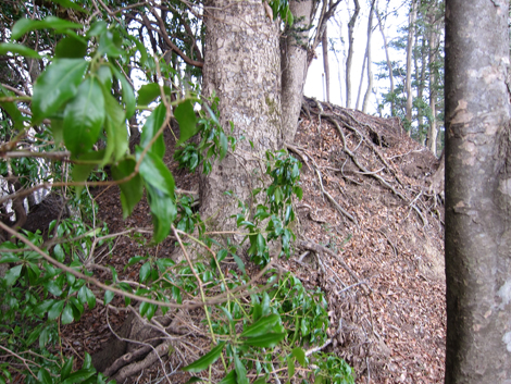 20200204hike (172)